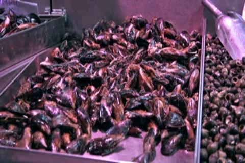 0108 Mercado NTSC Stock Footage 8575674