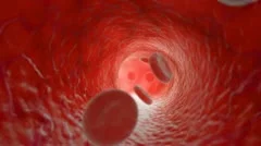 Red blood cells flowing in artery. HD. Looped.