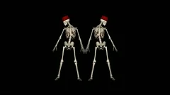 Skeleton Funny Dance II (+ ALPHA CHANNEL)