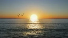 Beautiful Golden Ocean sunset with flock of birds