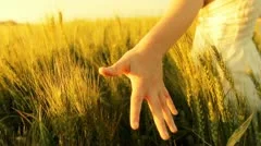 Freedom hand green organic agriculture Wheat Harvesting Landscape Crop field