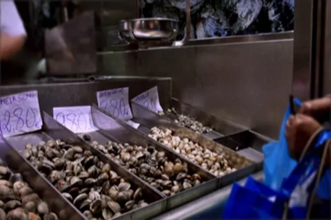 0109 Mercado NTSC Stock Footage 8576554