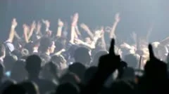 Party Live Footage Video