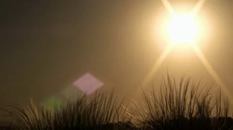 011 Feather-grass and wind on boundless Ukrainian spaces Stock Footage 25144278