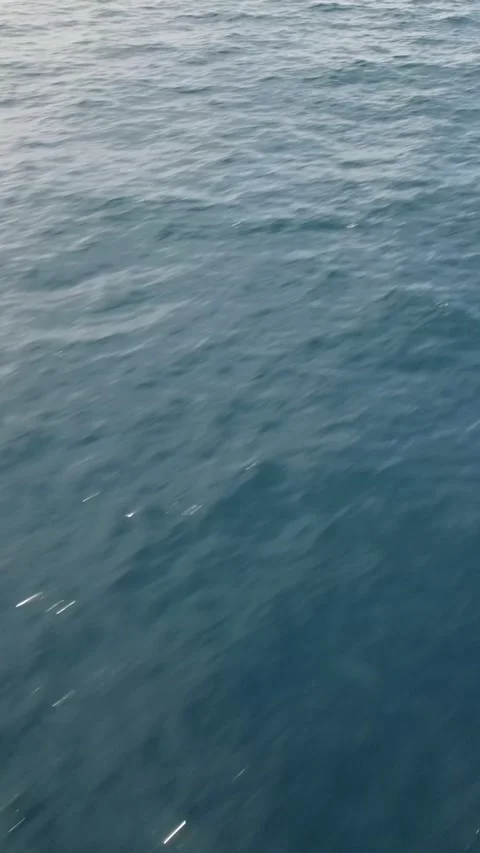 011 库存影片 245949960