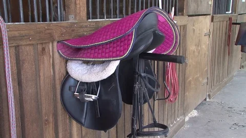 011 Harness Stock Footage 77551490