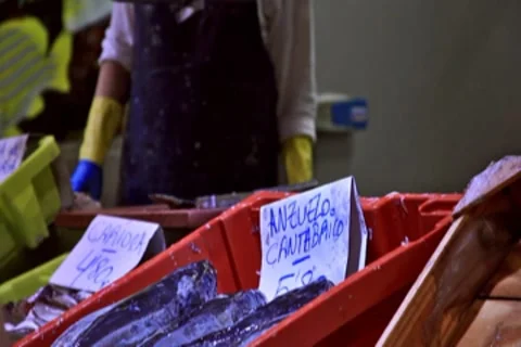 0110 Mercado NTSC Stock Footage 8577442