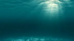 Tranquil underwater scene with light rays, algae and caustics on ocean floor