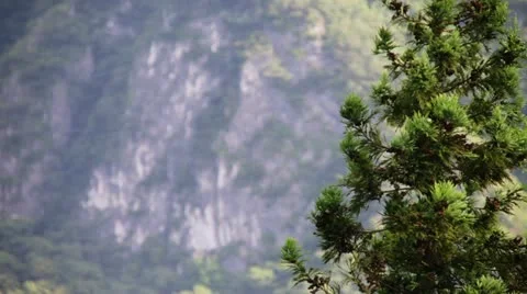 Ｍｔ．ｂｕｋｏ Stock Footage 11295772