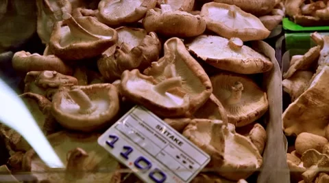 0113 Mercado HD25 Stock Footage 8594920