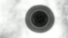 88 BW cell division cool mytosis