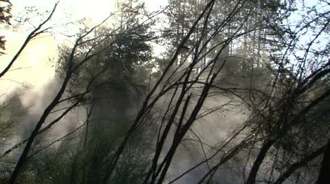 0115-mud5 Vidéo 11140346