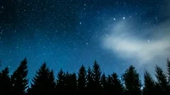 Timelapse of stars and meteors moving in night sky over pine trees.