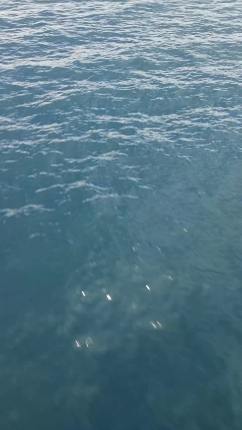 012 Video stock 245953885