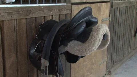 012 Harness Stock Footage 77551477