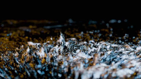 012 Play With Iron Video stock 199125526