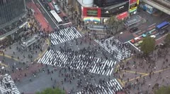 Timelapse  Shibuya car traffic pedestrian cross aerial view day Tokyo Japan