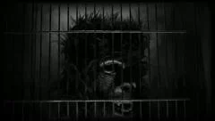 Animatronic Ape / Gorilla head in cage