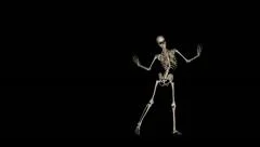 Skeleton Belly Dance - Transparent Loop (+ alpha channel)