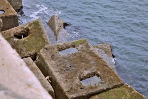 0122 Puerto NTSC Video stock 8607225