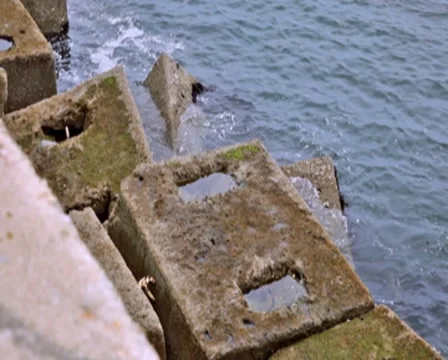 0122 Puerto PAL Video stock 8607246