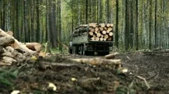 Truck takes away felled trees in the forest