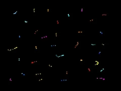 013-03-10 Stock Footage 5259273