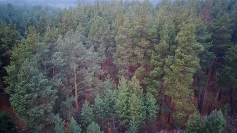 013 스톡 동영상 122616041