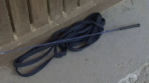 013 Whip Stock Footage 77551468