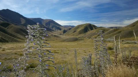 0135-lindis-pass1 Stock-Footage 12009541