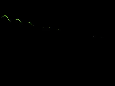 014-01 Stock Footage 5650085