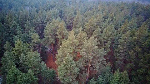 014 Video stock 122616033