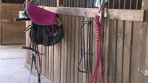 014 Harness Vídeo Stock 77551480