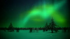 Polar lights in forest loop