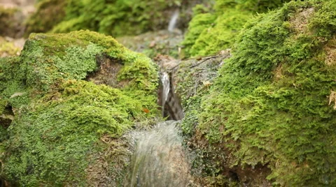 015 Stock Footage 948732