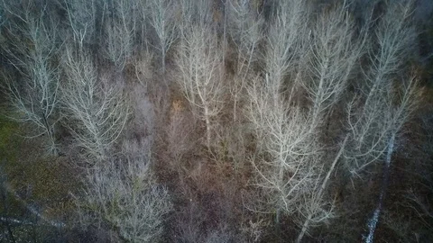 015 Video stock 122616024