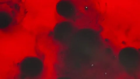 015_Abstract red and black fluid..mp4 Stock-Footage 345073990