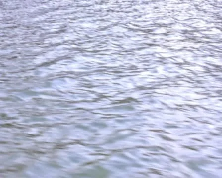 0169 Rio PAL Stock Footage 10800421