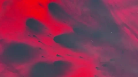 016_Abstract red and grey fluid texture.mp4 Stock-Footage 345073985