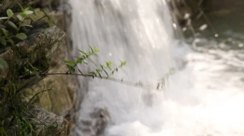 017 Stock Footage 948764