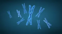 Chromosome x and DNA Strands