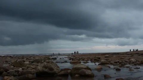 01L river stream 스톡 동영상 97393913