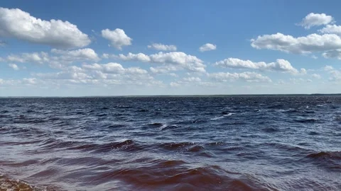 01UCZT8763 Video Stockbeeldmateriaal 170613300