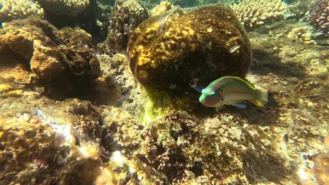 02 26sl 2 19 Vídeos de archivo 329866414