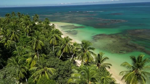 02 el portillo beach las terrenas 4k 02 Video stock 321479965