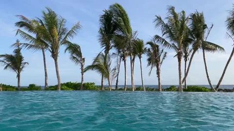 02 Ocean island palm pool Stock Footage 200265707