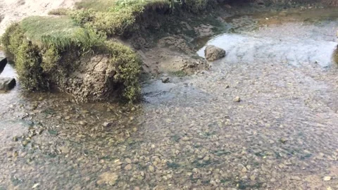 02 Shallow coastal stream inlet. Strong wind blowing Stock Footage 143425091