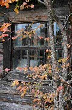 ???? ? ?????? ???? Stock Photos