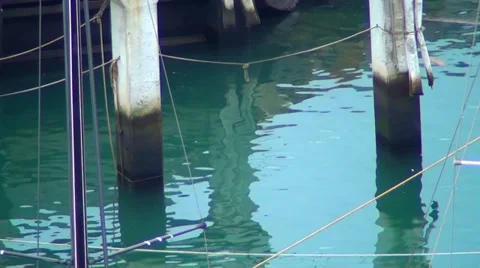 0206  Pillars of a pier Video stock 36725396