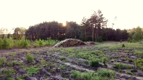 0206.29 Stock Footage 196226246